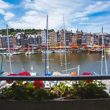 Apartamento Vieux Bassin *