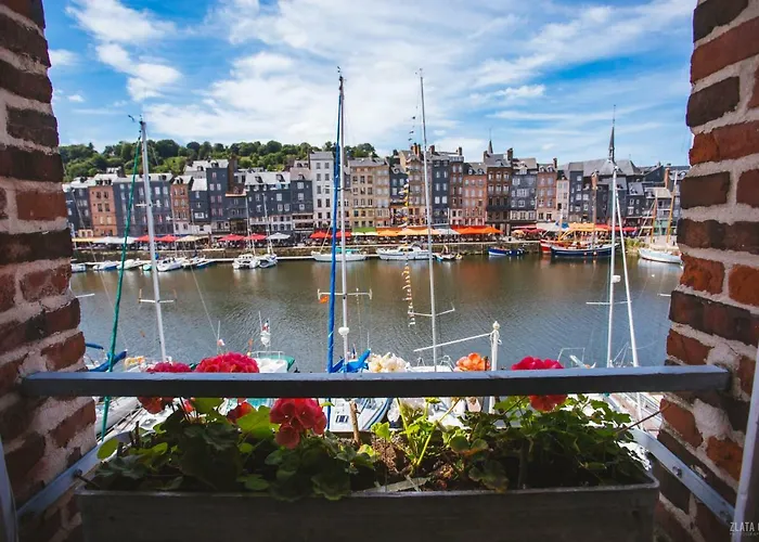 Apartman Vieux Bassin *